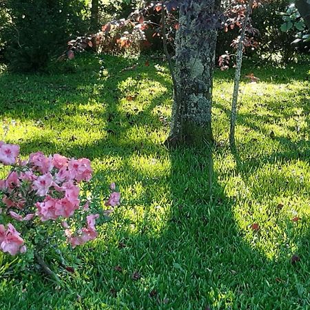 Quinta D'Avo Amelia Bed and Breakfast Alquerubim Exteriör bild