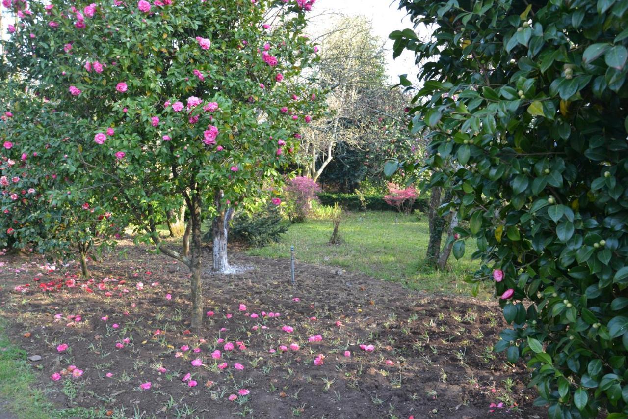 Quinta D'Avo Amelia Bed and Breakfast Alquerubim Exteriör bild