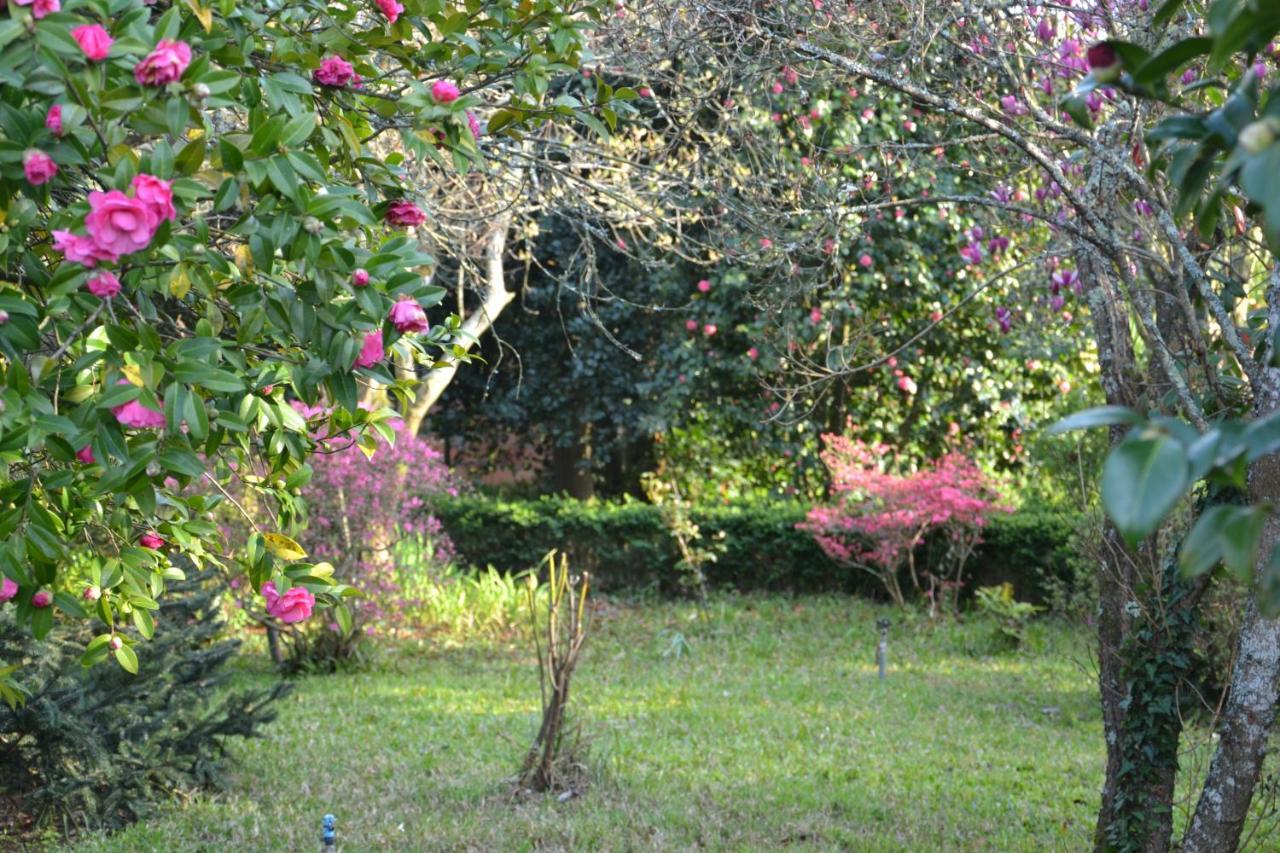 Quinta D'Avo Amelia Bed and Breakfast Alquerubim Exteriör bild