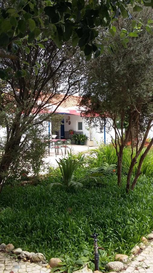Quinta D'Avo Amelia Bed and Breakfast Alquerubim Exteriör bild