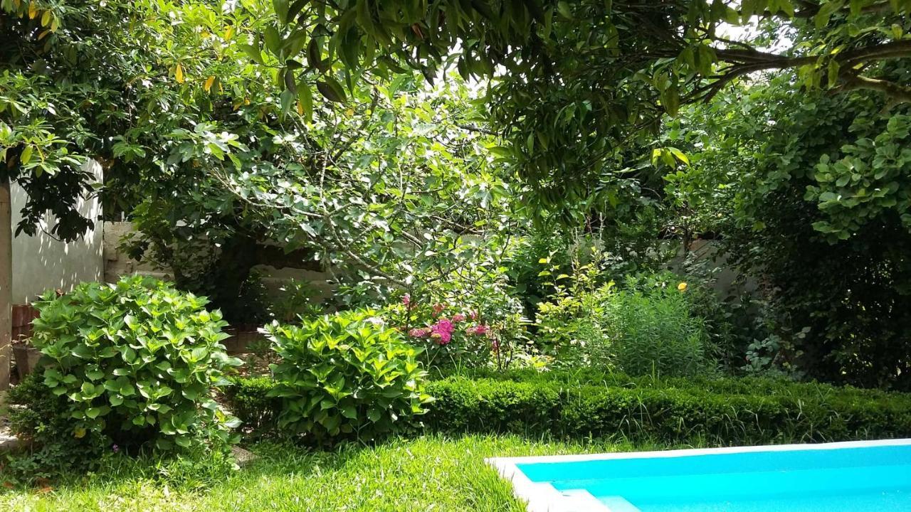 Quinta D'Avo Amelia Bed and Breakfast Alquerubim Exteriör bild