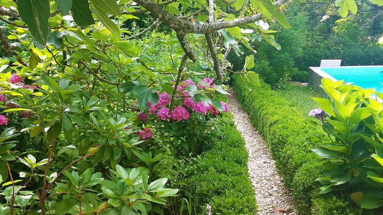 Quinta D'Avo Amelia Bed and Breakfast Alquerubim Exteriör bild