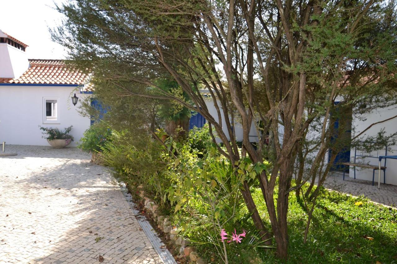 Quinta D'Avo Amelia Bed and Breakfast Alquerubim Exteriör bild