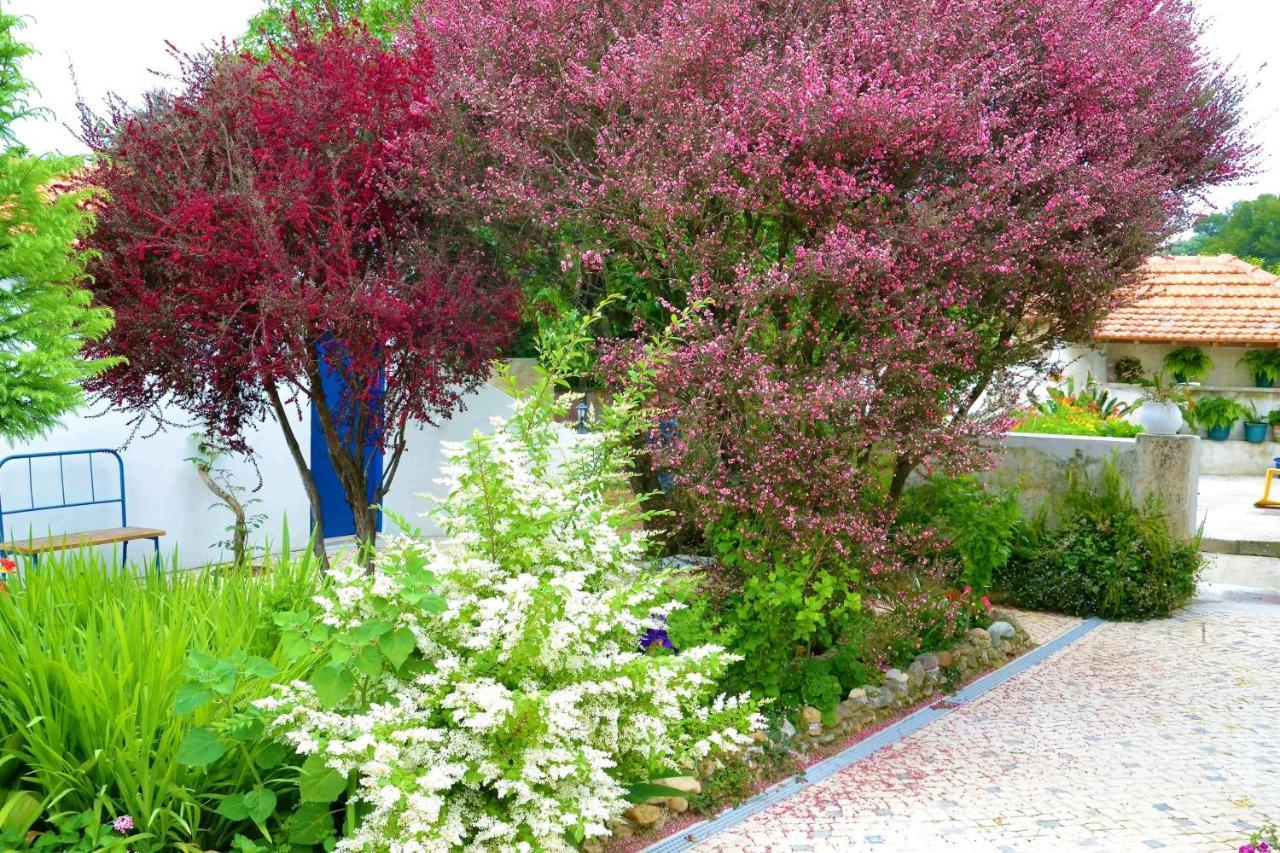 Quinta D'Avo Amelia Bed and Breakfast Alquerubim Exteriör bild